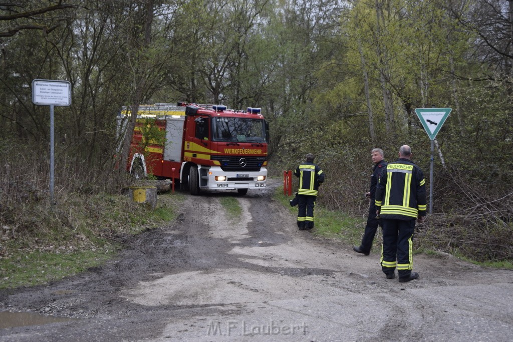 Waldbrand Wahner Heide Troisdorf Eisenweg P365.JPG - Miklos Laubert